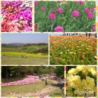 PhotoGrid_1430641862605
