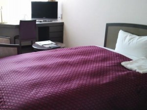 デュベ_JALAN_150528