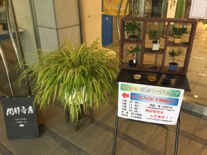 ④苔玉ワークショップ