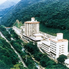 塩江温泉 新樺川観光ホテル